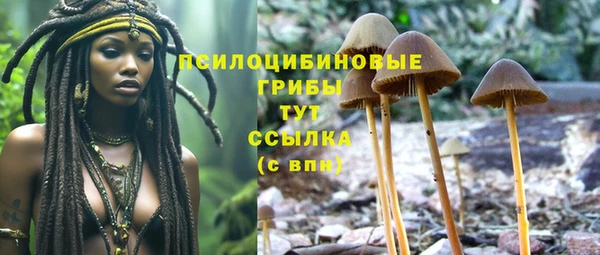 МДПВ Арсеньев