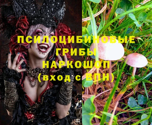 прущая мука Армянск