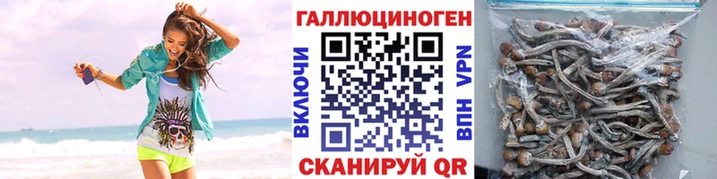 купить наркотик Ликино-Дулёво Галлюциногенные грибы мухоморы